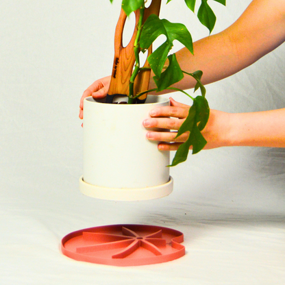 Lili Sausr - Lilly pad shaped Saucer - Spill tray - Drip tray for houseplants - Humidity tray