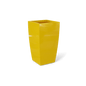 GSF Gloss Saffron