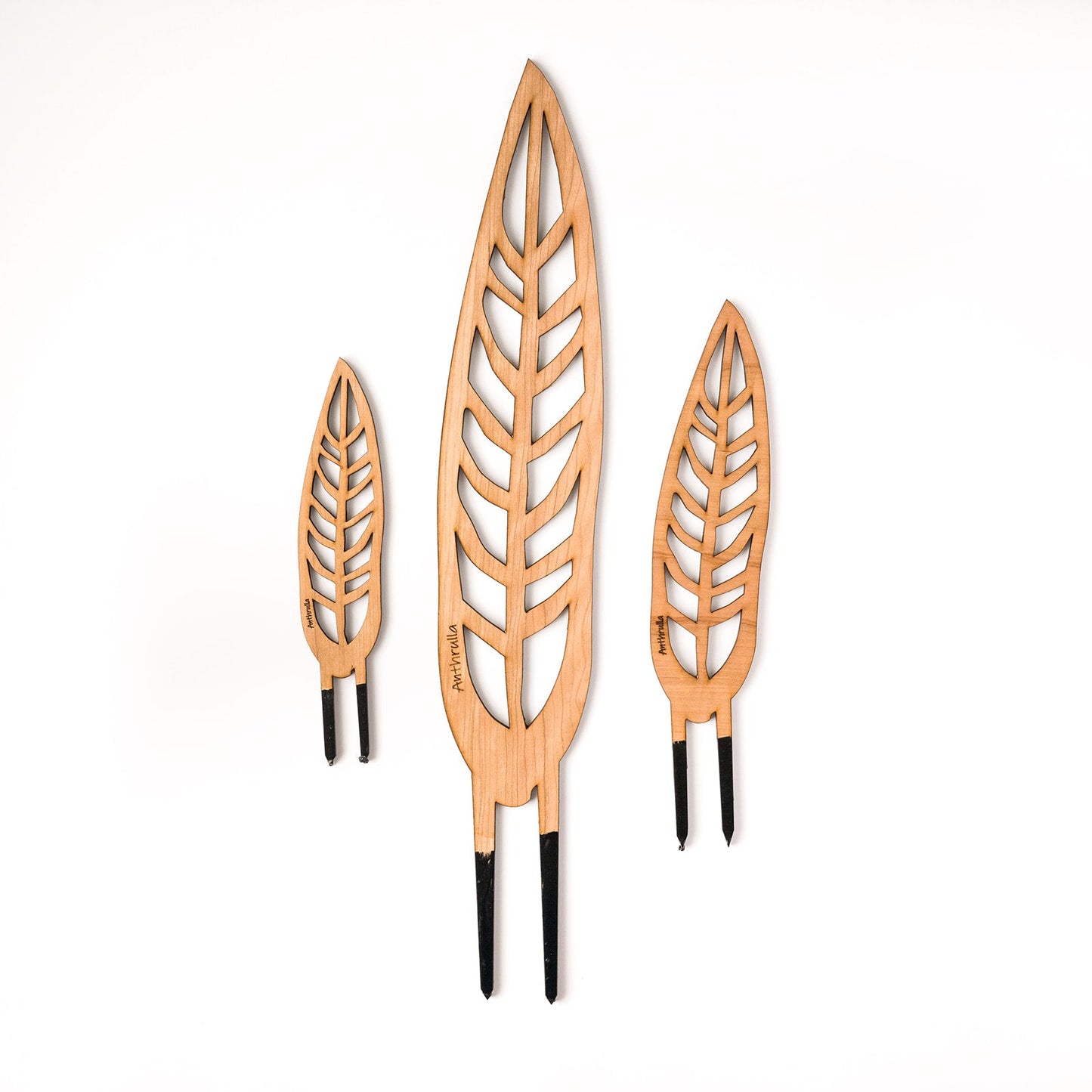 Anthrulla - Plant trellis inspired by the Queen Anthurium