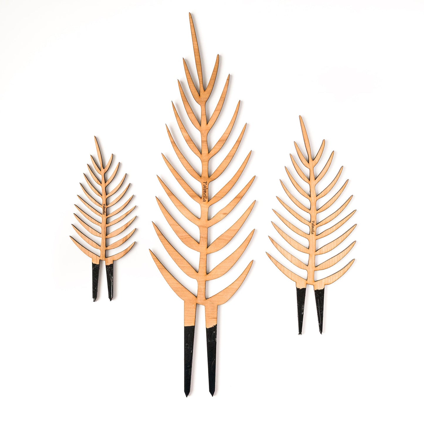 Palmella - Plant trellis inspired by the Palm Leaf