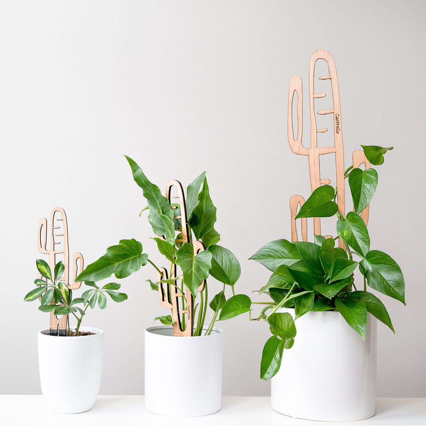 Cactrella - Plant trellis inspired by the Barrel Cactus