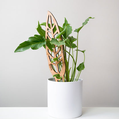 Anthrulla - Plant trellis inspired by the Queen Anthurium