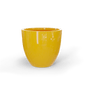 GSF Gloss Saffron