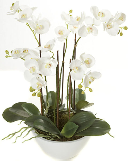 Artificial 24 Inch Potted Phalaenopsis Orchid Plant