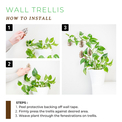 Monstrella - Wall Mounted